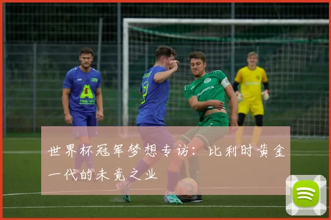 世界杯冠军梦想专访：比利时黄金一代的未竟之业