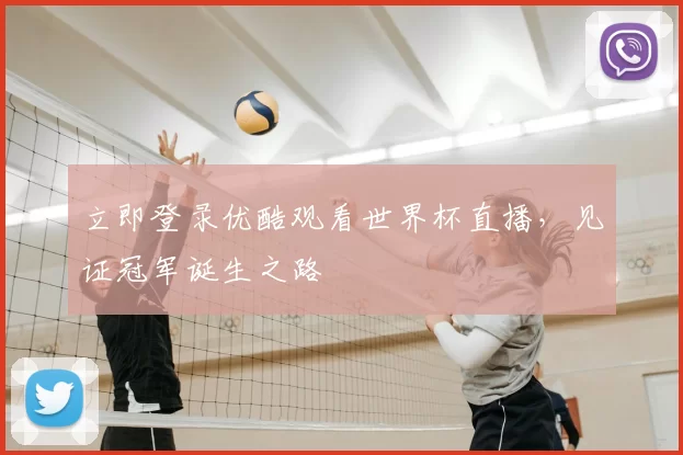 立即登录优酷观看世界杯直播，见证冠军诞生之路