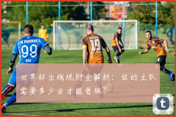 世界杯出线规则全解析:你的主队需要多少分才能晋级?