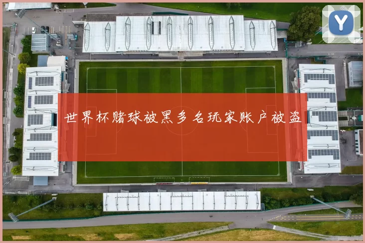 世界杯赌球被黑多名玩家账户被盗