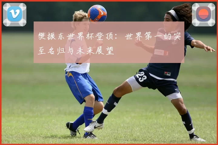 樊振东世界杯登顶:世界第一的实至名归与未来展望