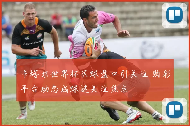 卡塔尔世界杯买球盘口引关注 购彩平台动态成球迷关注焦点