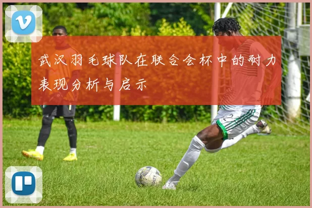 武汉羽毛球队在联合会杯中的耐力表现分析与启示