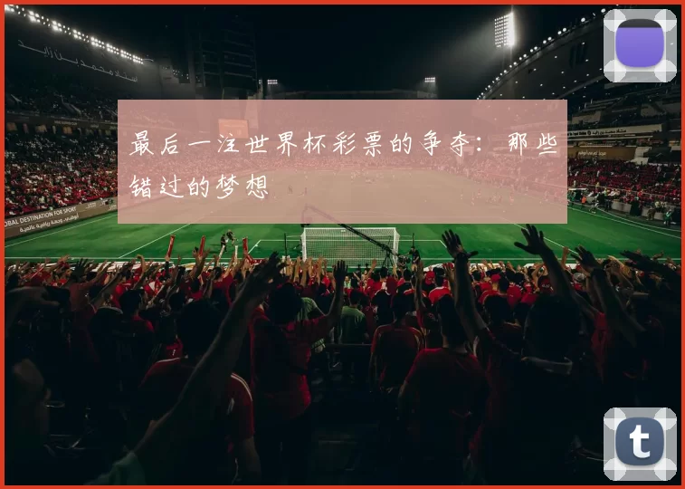 最后一注世界杯彩票的争夺:那些错过的梦想